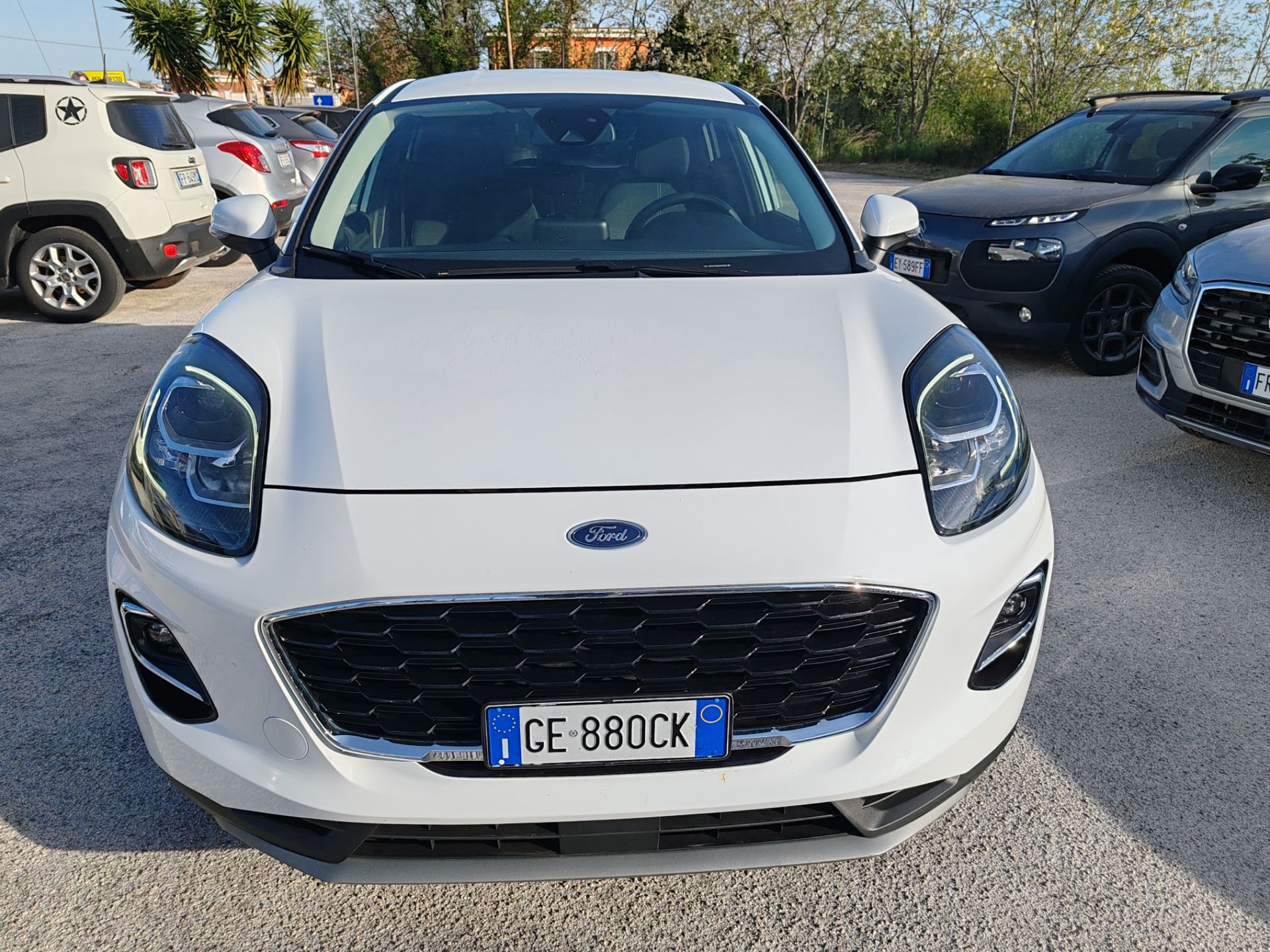 Ford Puma 1.5 EcoBlue 120CV S&S Titanium