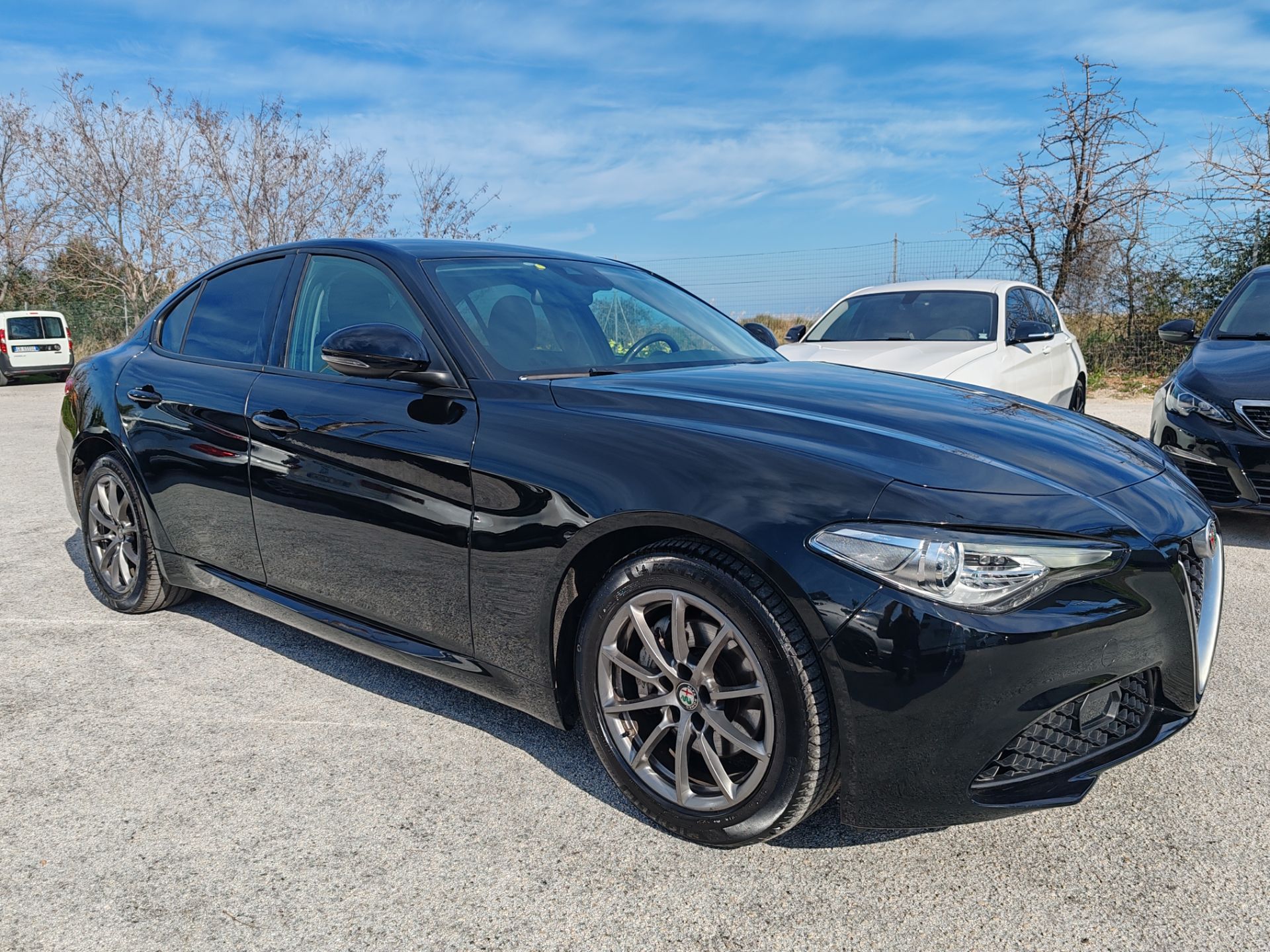 Alfa Romeo Giulia 2.2 Turbodiesel 160 CV AT8 Bus.