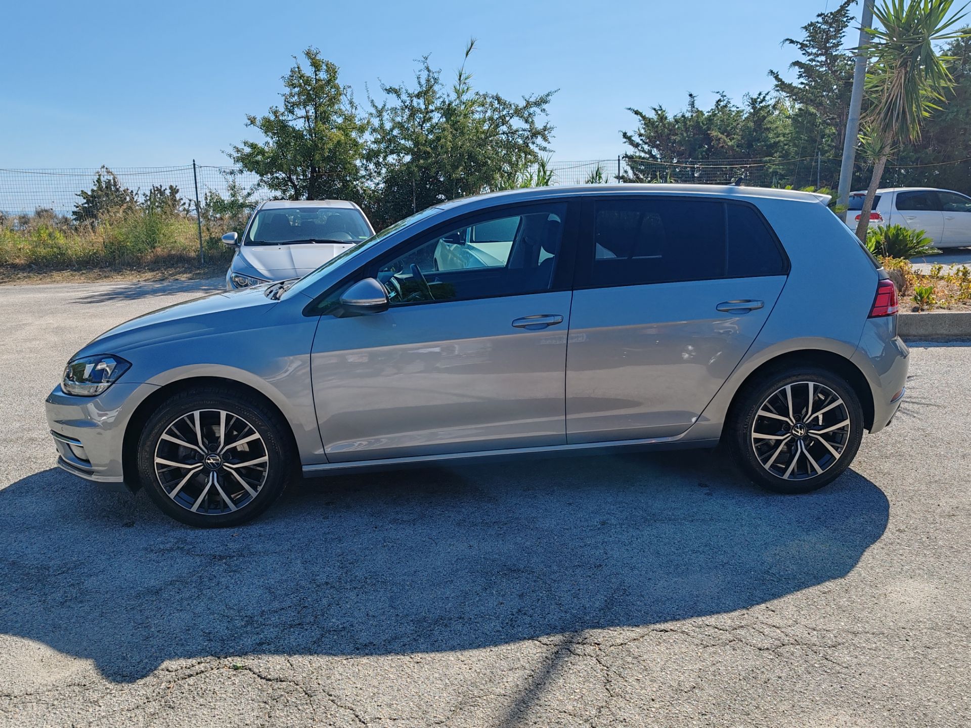 Volkswagen Golf 1.6 TDI 115CV 5p. Business BMT