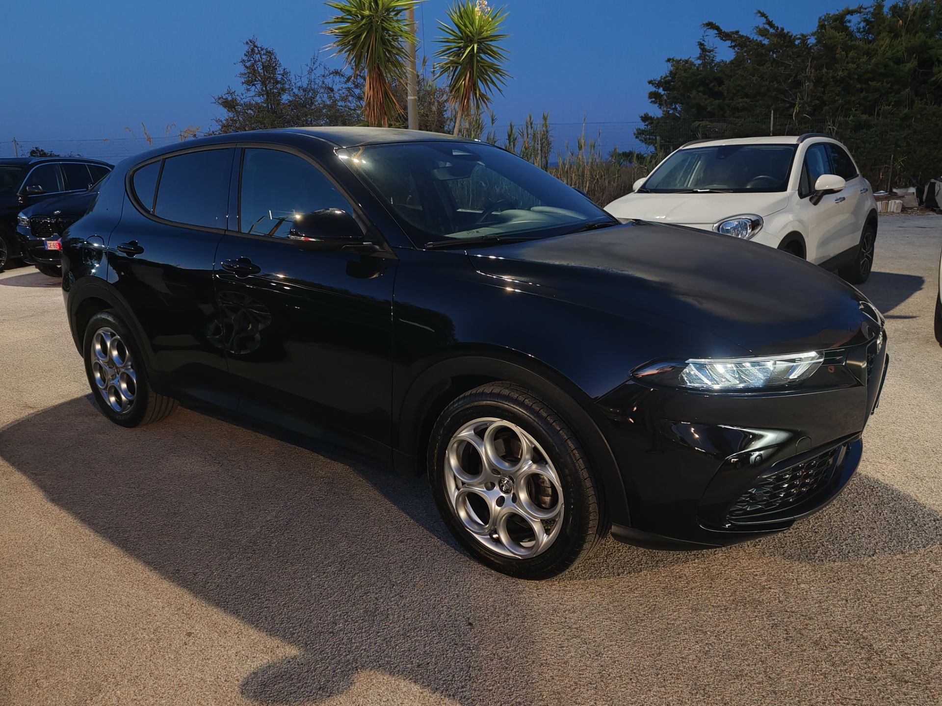 Alfa Romeo Tonale  1.6 Diesel 130cv TCT6 Sprint