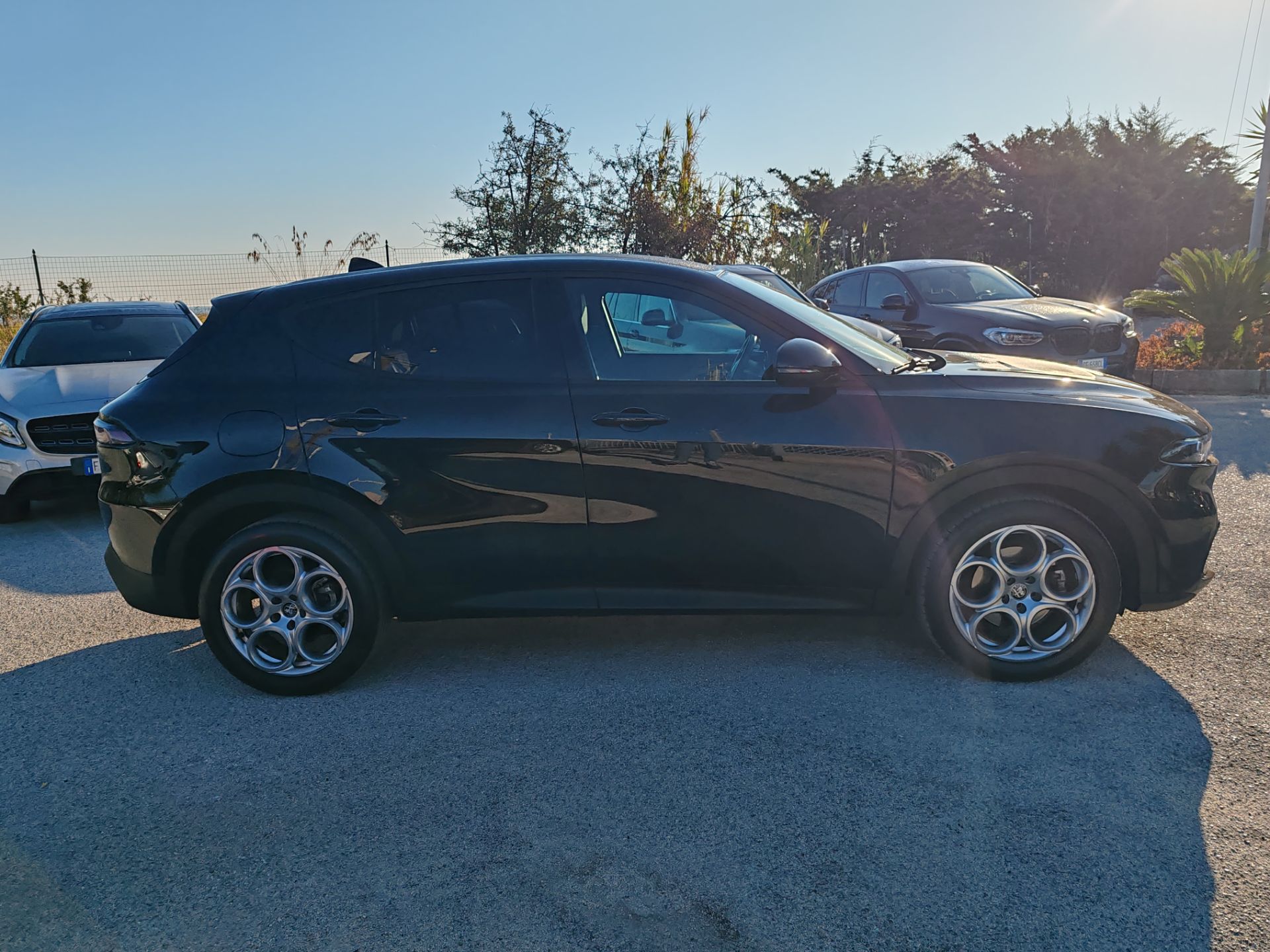 Alfa Romeo Tonale  1.6 Diesel 130cv TCT6 Sprint